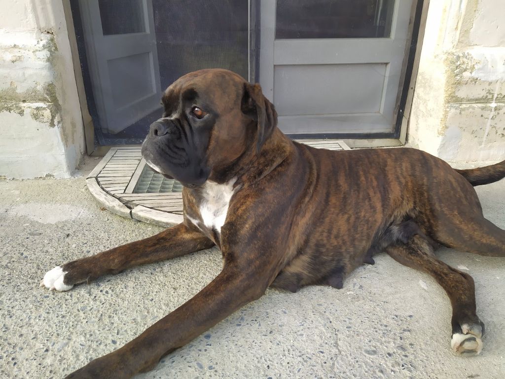 Roxie De La Source De Séléné